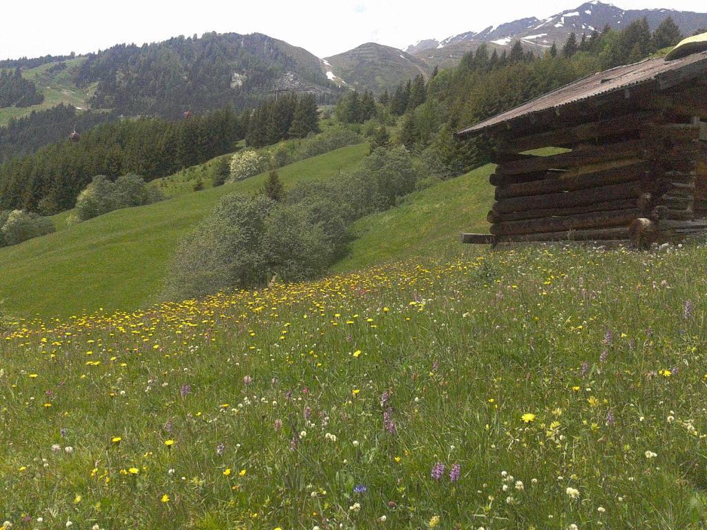 Apart Panoramablick Kaunerberg Εξωτερικό φωτογραφία